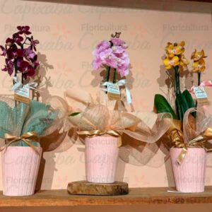 Orquídea Buquet Edição Especial Dia das Mães