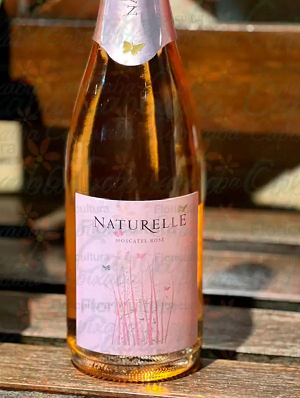 ESPUMANTE MOSCATEL ROSÉ - Imagem 2