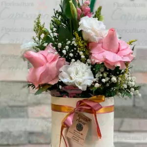 CAIXA BOX CELEBRAR P