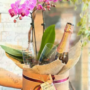 MINI ORQUÍDEA BOX VIVA AMOR
