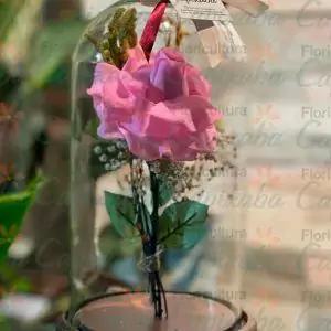 ROSA ETERNA PREMIUM