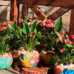 MINI ANTÚRIO + PEÇA ARTESANAL MARIA BONITA